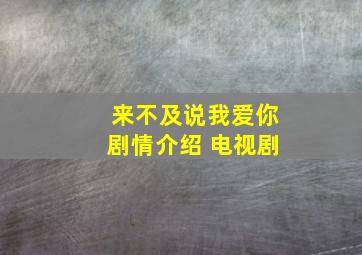 来不及说我爱你剧情介绍 电视剧